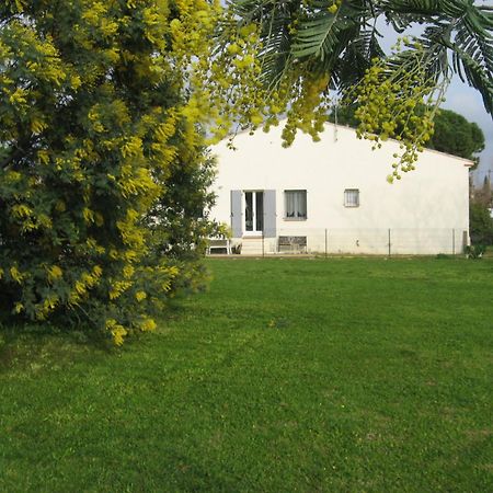 Lumineux Agreable T2 De 32M2 Leilighet La Londe-les-Maures Eksteriør bilde